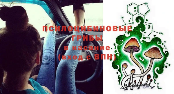 дживик Алексин