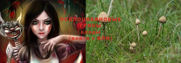 бошки Алзамай