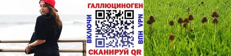 Галлюциногенные грибы Magic Shrooms  Балашиха 